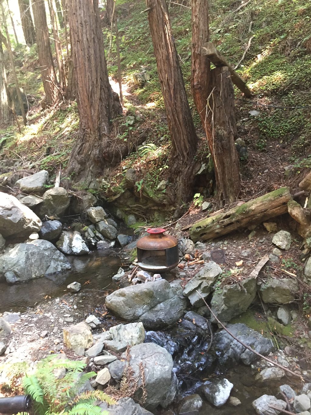 The arrastra site on Plaskett Creek. Rusted ironwork and mossy hewn timbers from the gold workings rest among the redwoods where the creek once turned the water wheel.